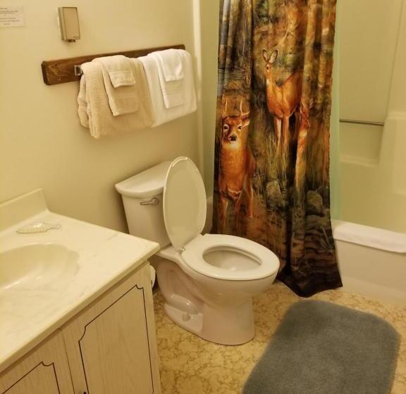 Номер Стандарт, Kancamagus Swift River Inn