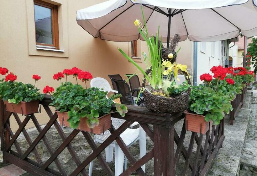 اتاق استاندارد, Olze Panzió