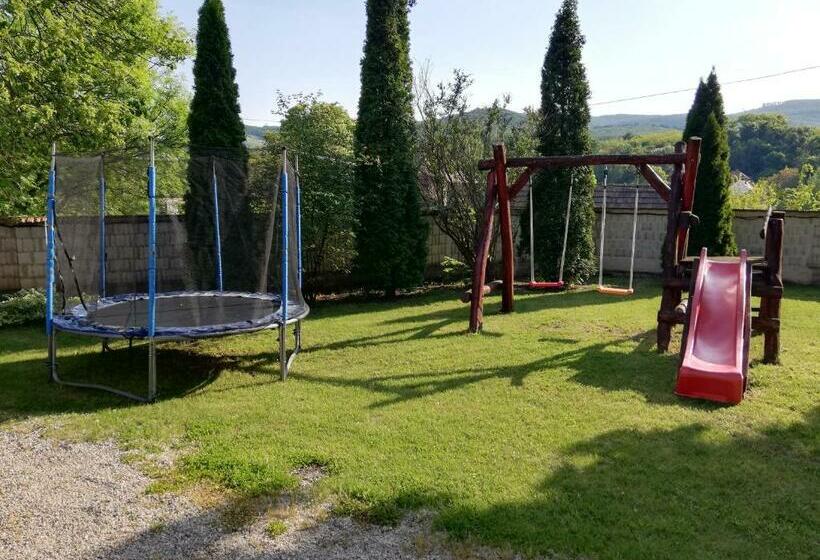 اتاق استاندارد, Olze Panzió
