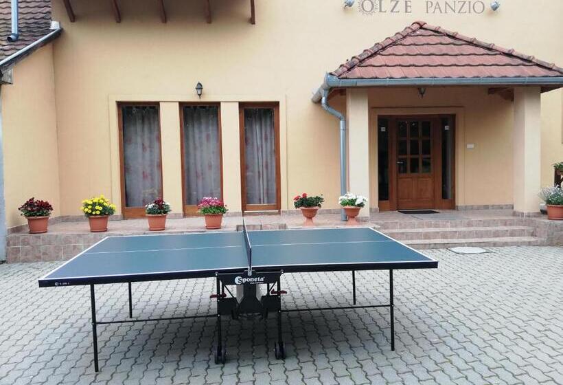 اتاق استاندارد, Olze Panzió