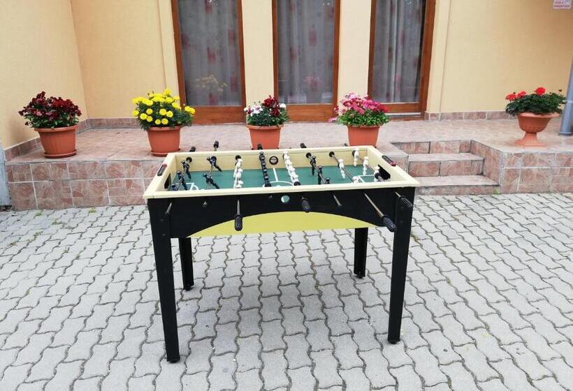 اتاق استاندارد, Olze Panzió