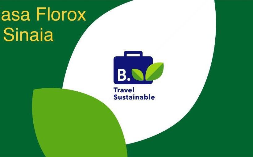 اتاق استاندارد, Casa Florox
