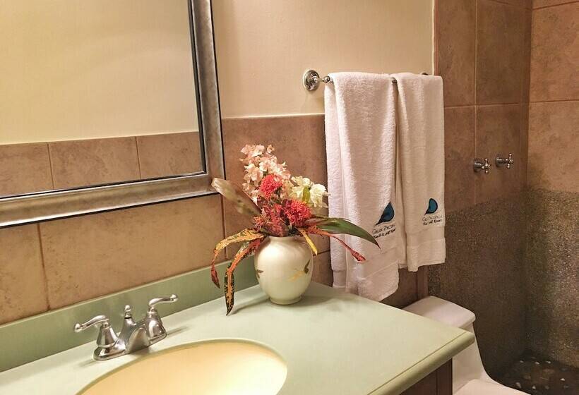 اتاق لوکس یک تخته, Suite Rivas 126 Gran Pacifica Resort