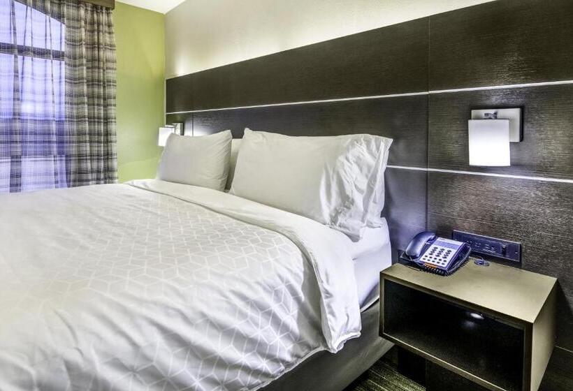 Люкс Адаптированный для Инвалидов, Holiday Inn Express & Suites Longview North, An Ihg