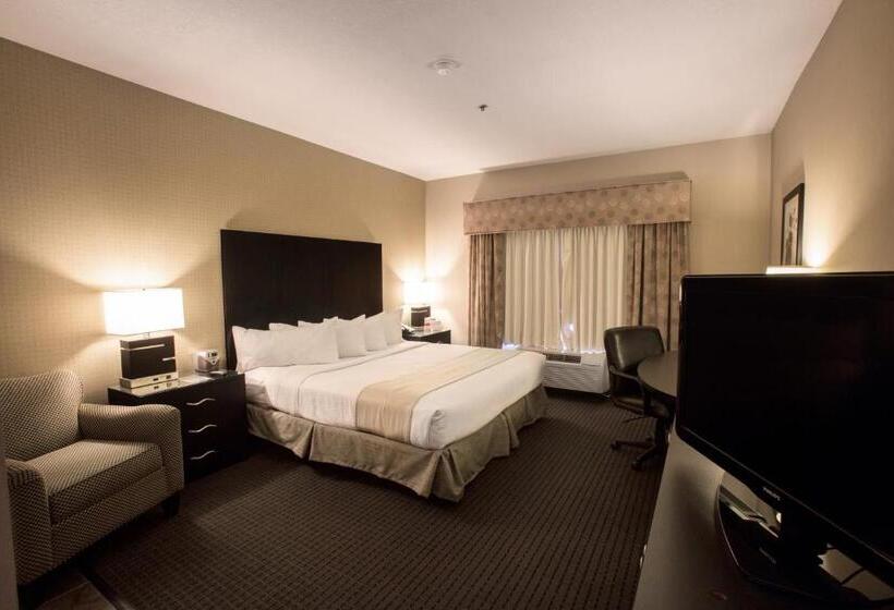 Номер Executive Кровать Кинг, Holiday Inn St. Paul Northeast   Lake Elmo, An Ihg