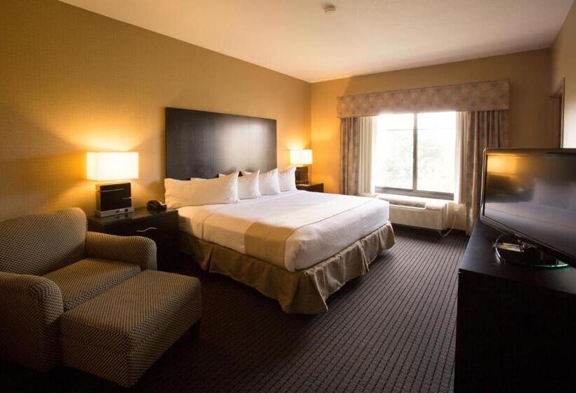 Номер Executive Кровать Кинг, Holiday Inn St. Paul Northeast   Lake Elmo, An Ihg