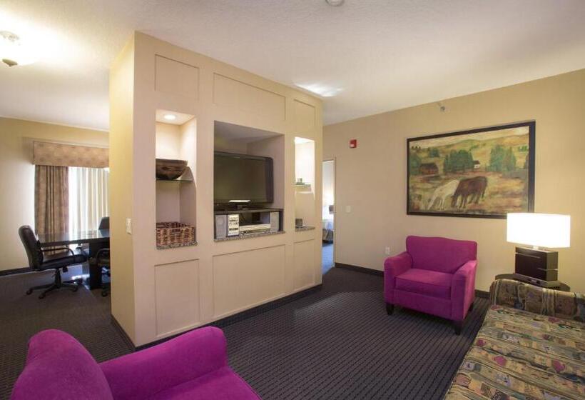 Люкс Executive Кровать Кинг, Holiday Inn St. Paul Northeast   Lake Elmo, An Ihg