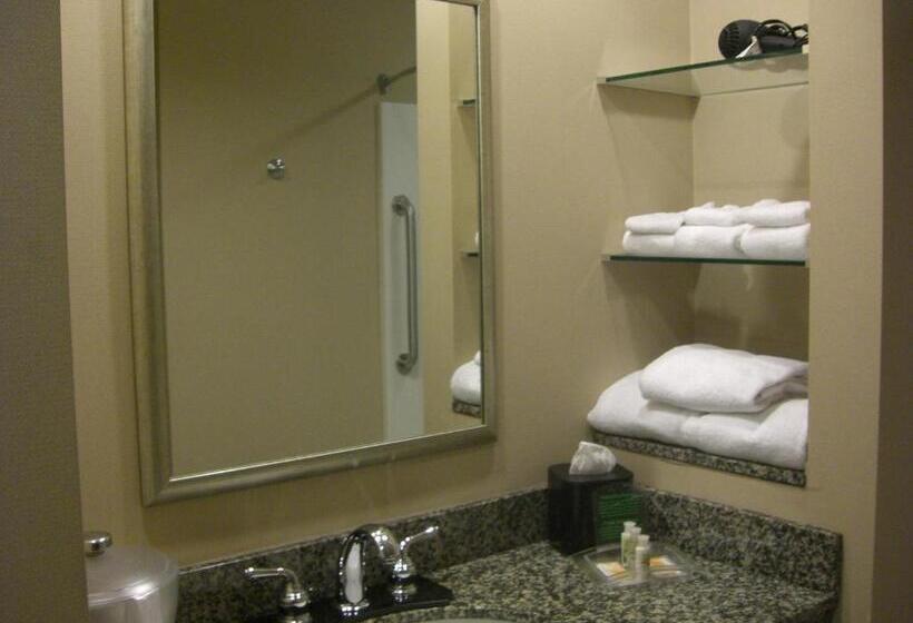 Номер Стандарт Кровать Кинг Адаптированный для Инвалидов, Holiday Inn St. Paul Northeast   Lake Elmo, An Ihg