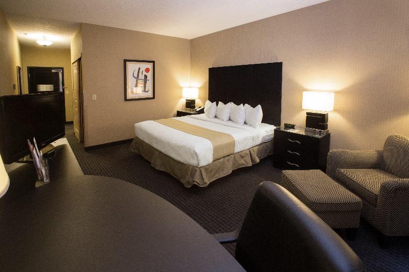 Номер Стандарт Кровать Кинг Адаптированный для Инвалидов, Holiday Inn St. Paul Northeast   Lake Elmo, An Ihg