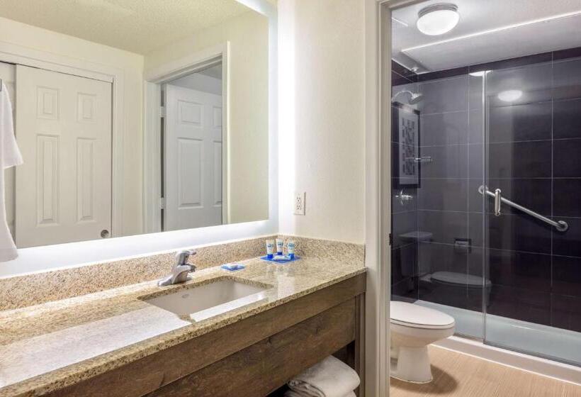 Studio Standard Lit King Size, Hyatt House Houston Galleria