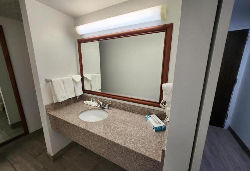 Номер Стандарт, Clarion Inn Idaho Falls Riverfront