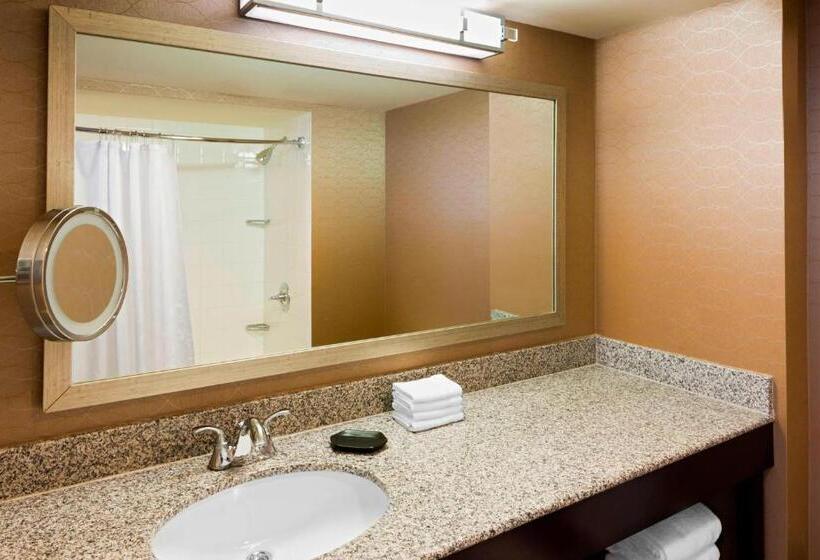 Номер Клуб Кровать Кинг, Sheraton Hotel Metairie New Orleans