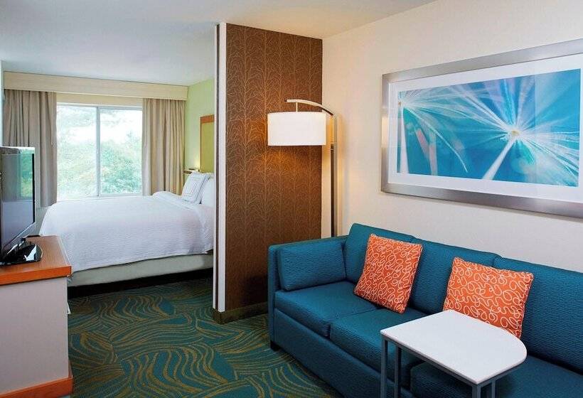 스위트, Springhill Suites By Marriott Atlanta Six Flags