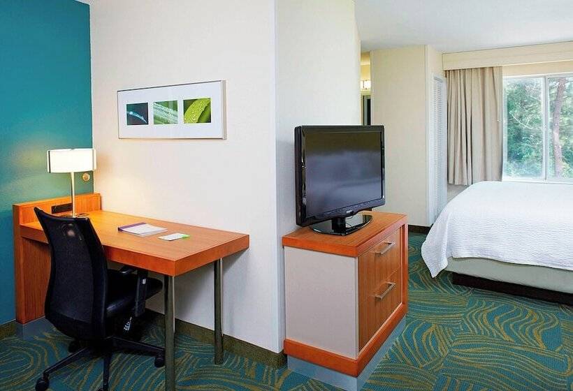 장애인을 위한 스위트, Springhill Suites By Marriott Atlanta Six Flags