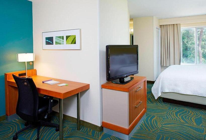 스위트 킹사이즈 침대, Springhill Suites By Marriott Atlanta Six Flags