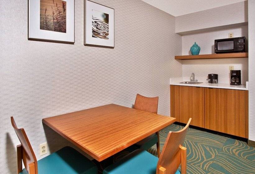 Suite Executiva, Springhill Suites By Marriott Chicago Southwest At Burr Ridge Hinsdale
