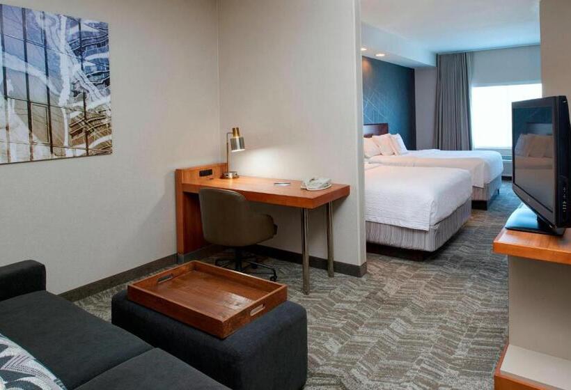 Студия Стандарт, Springhill Suites By Marriott Frankenmuth
