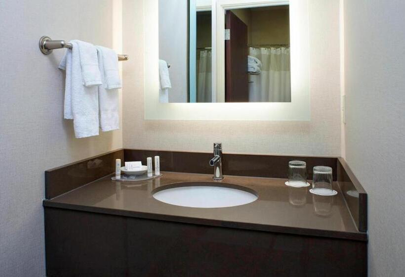 Студио Стандарт Кровать Кинг, Springhill Suites By Marriott Frankenmuth