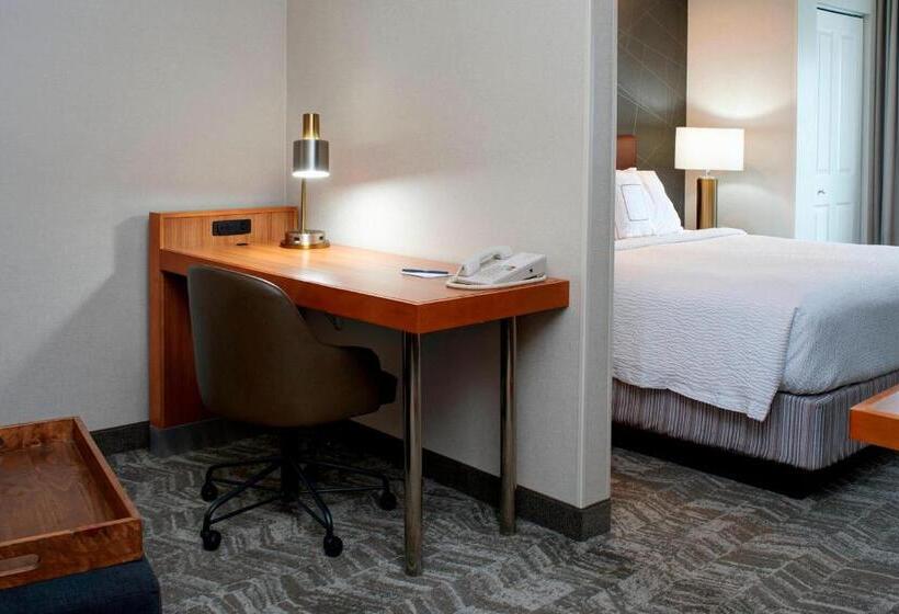 Студио Стандарт Кровать Кинг, Springhill Suites By Marriott Frankenmuth