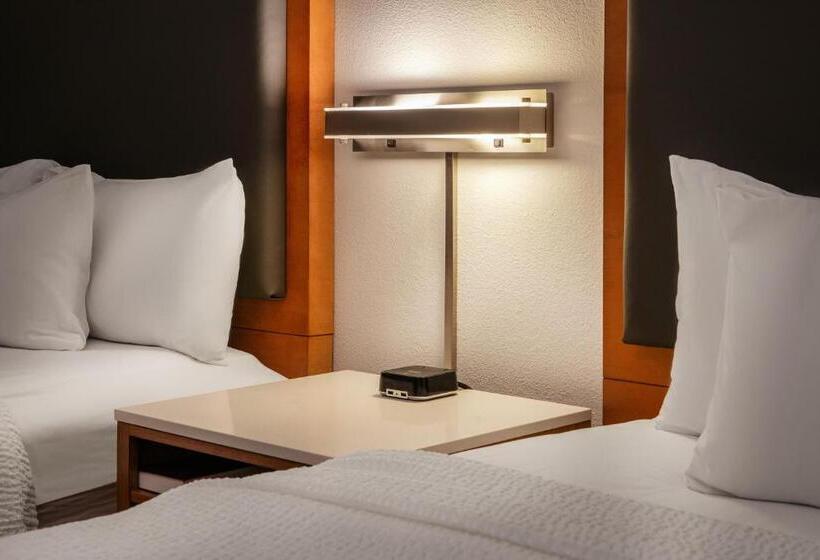 标准工作室, Springhill Suites By Marriott Hershey Near The Park