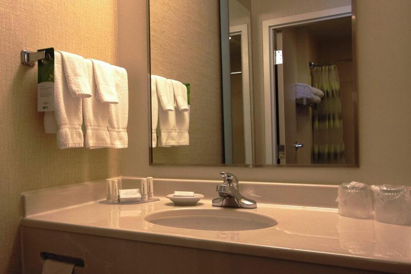 带大床的标准工作室, Springhill Suites By Marriott Hershey Near The Park