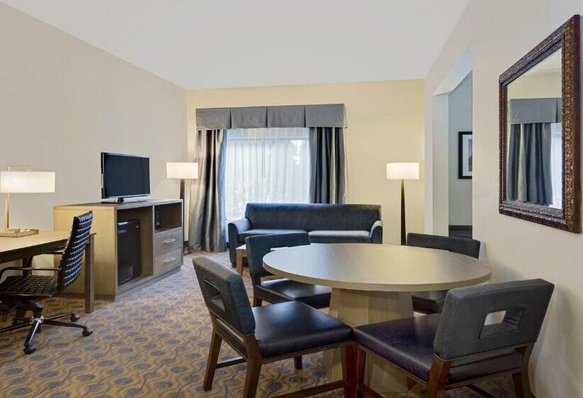 Deluxe Suite King Bed, Comfort Inn & Suites Arlington Heights   Schaumburg