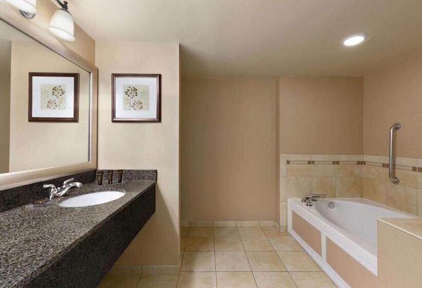 Номер Стандарт, Wingate By Wyndham Denver Tech Center