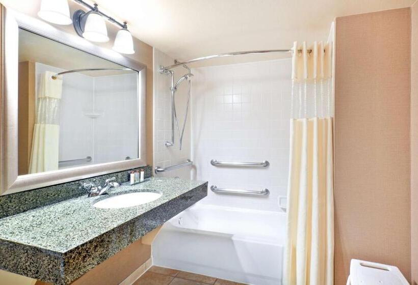 Номер Deluxe Кровать Кинг, Wingate By Wyndham Denver Tech Center