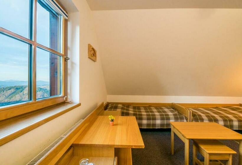 Четырехместный Номер Стандарт, Horský Hotel Kohútka