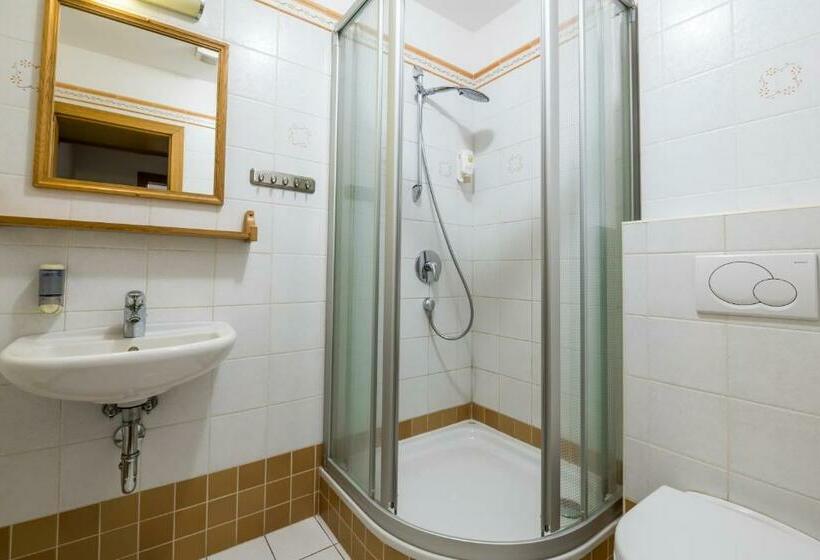 Четырехместный Номер Стандарт, Horský Hotel Kohútka