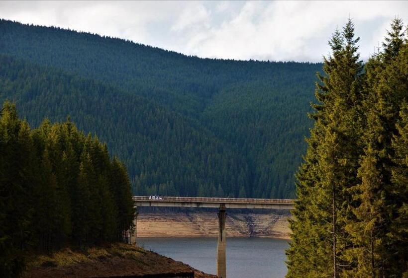 Номер Стандарт, Cabana Cerbul Oasa Transalpina