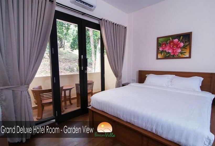 디럭스 룸, De Bintan Villa