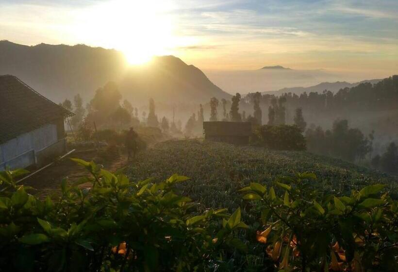 Номер Economy, Bromo Otix Guest House