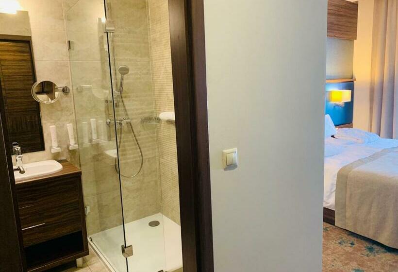 اتاق استاندارد, Barack Thermal Hotel And Spa