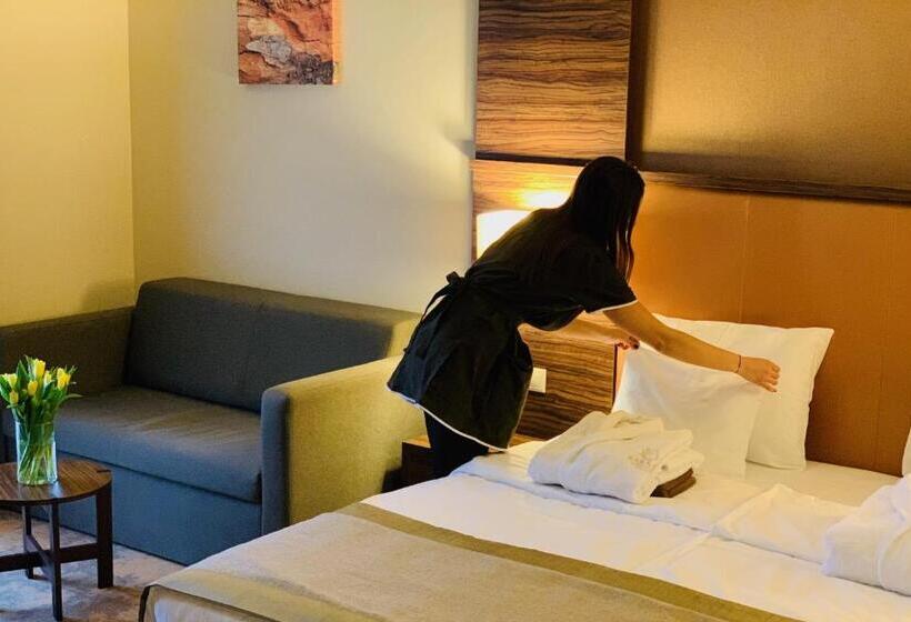 اتاق سوپریور, Barack Thermal Hotel And Spa