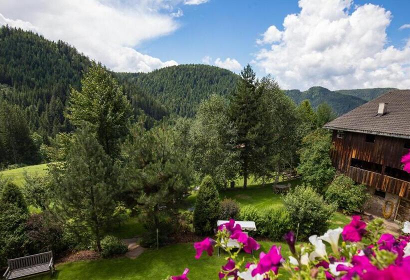 Номер Superior с Балконом, Gasthof Gasserhof