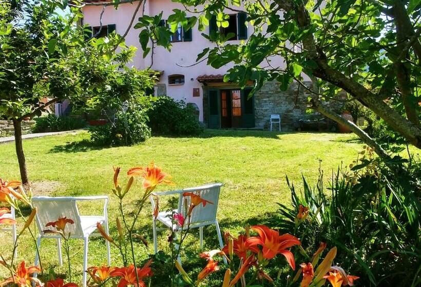 스탠다드 룸, Agriturismo Botro