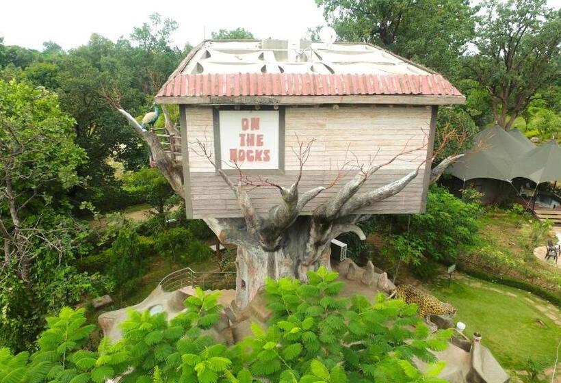 منزل غرفة نوم واحدة, Tathastu Pench