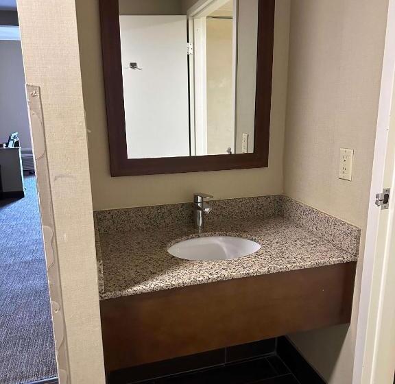 Люкс Кровать Кинг, Vista Suites Near Leconte Convention Center