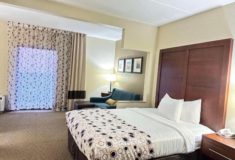 Люкс Кровать Кинг, Vista Suites Near Leconte Convention Center