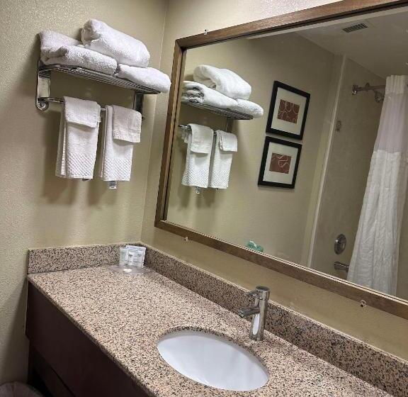 Люкс Адаптированный для Инвалидов, Vista Suites Near Leconte Convention Center