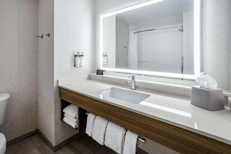 Quarto Estandar, Holiday Inn Express And Suites Tampa I 75 At Bruce B. Downs, An Ihg