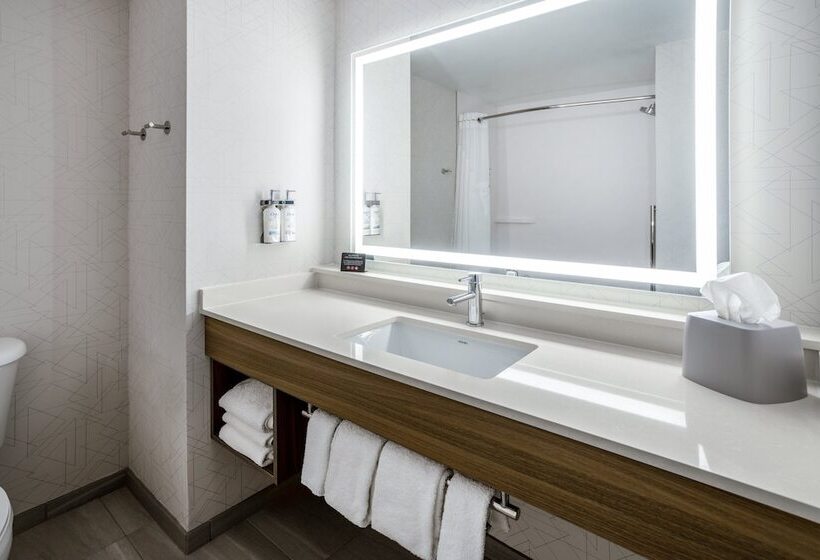 İki Çift Kişilik Yataklı Standart Oda, Holiday Inn Express And Suites Tampa I 75 At Bruce B. Downs, An Ihg