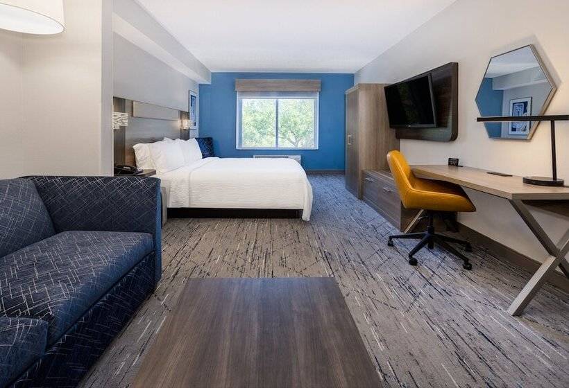 Süit, Holiday Inn Express And Suites Tampa I 75 At Bruce B. Downs, An Ihg