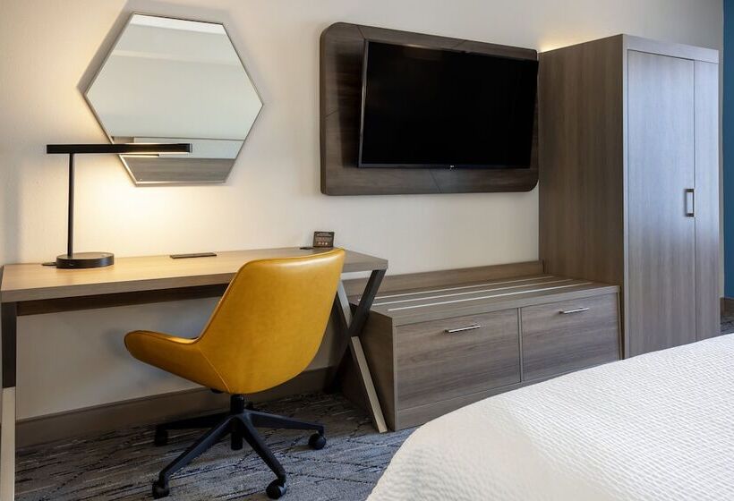 Standart Oda, Holiday Inn Express And Suites Tampa I 75 At Bruce B. Downs, An Ihg