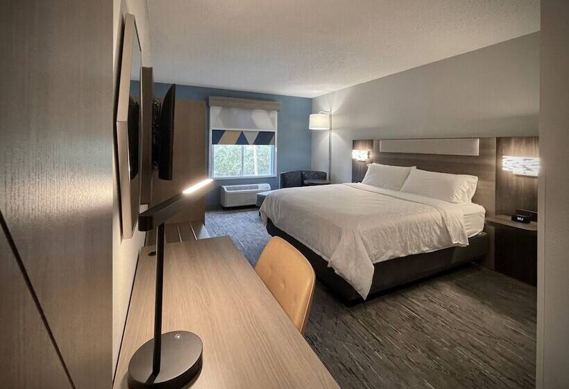 Quarto Estandar, Holiday Inn Express And Suites Tampa I 75 At Bruce B. Downs, An Ihg