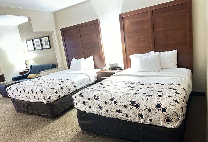 Люкс, Vista Suites Near Leconte Convention Center