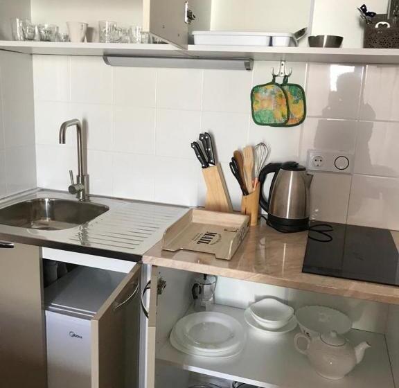 استودیوی استاندارد, New Gudauri Lofts By Gudauri Travel