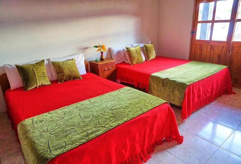 Номер Deluxe, Casa De Huéspedes Faletto