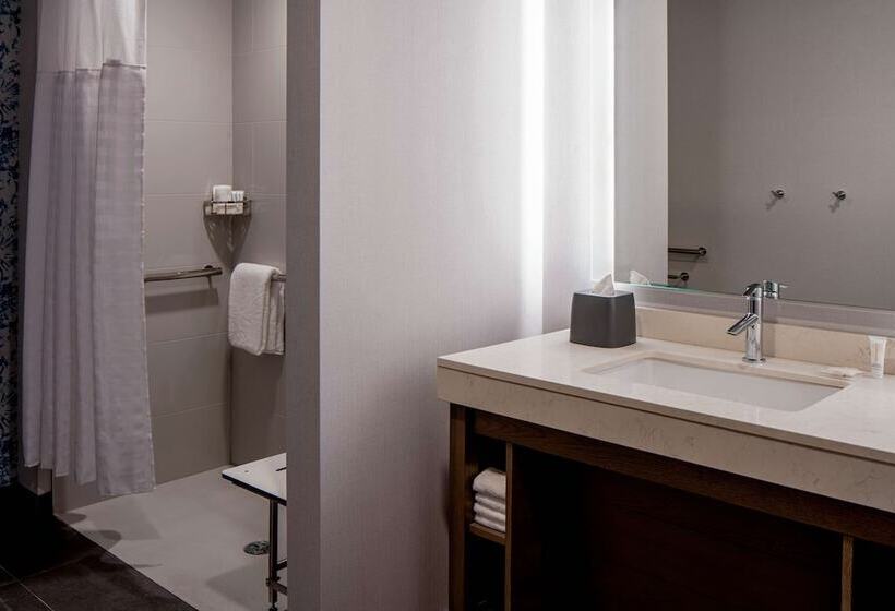 Номер Стандарт Кровать Кинг Адаптированный для Инвалидов, Hyatt Place Tampa Downtown